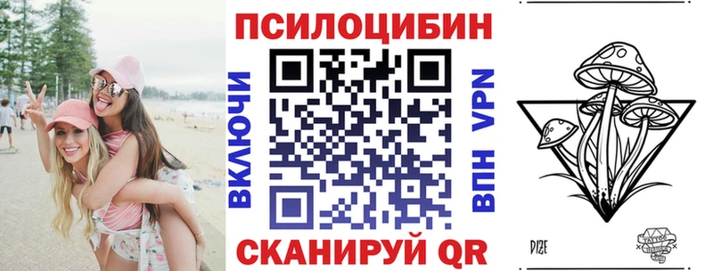 Псилоцибиновые грибы Psilocybe  Кызыл 